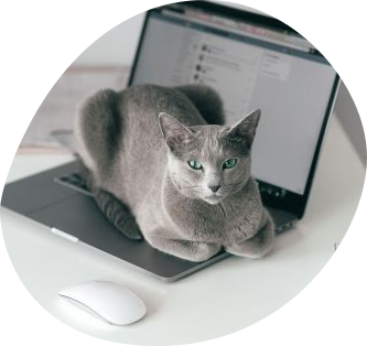 Хочу вести свой блог в социальных сетях: как и с чего начать