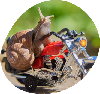 Турбо-страницы для быстрых заявок с Яндекс.Директа. Простой запуск рекламы