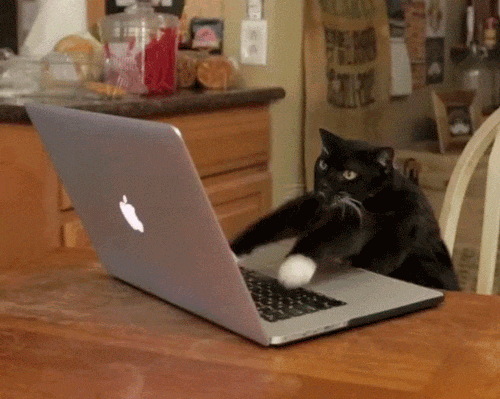 Занимайтесь оптимизацией